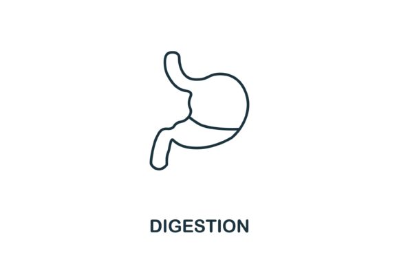 Creative Digestion Icon for Modern Design